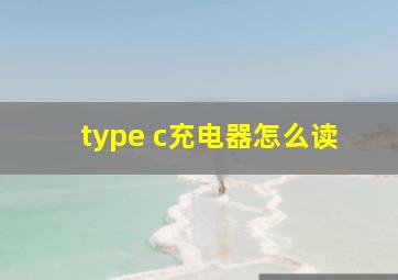 type c充电器怎么读